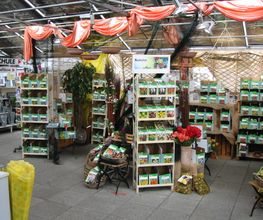Rodigari Gartencenter Bild 2