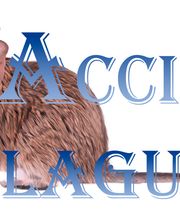 Acció Plagues imagen 1