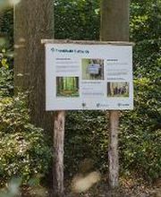 FriedWald Ostheide Bild 2