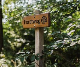 Beschilderte Waldwege durch den FriedWald Bremer Schweiz bieten Besuchern Orientierung.