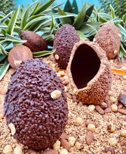 Marc Verdant image 17