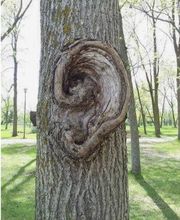 Karine Monnier image 3