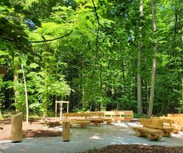 FriedWald Main-Tauber Bild 1