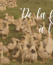 EARL DES GUITS Ferme la Gaube image 3