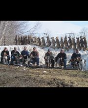 Carroll's Wildlife Taxidermy image 8