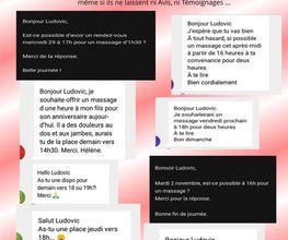 Ludovic Massages image 9