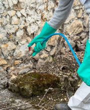 S.T.A.D Société de Travaux d'Assainissement et de Désinfection image 4