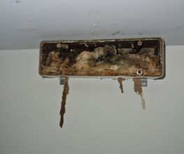 C.B.T.I 44 image 11