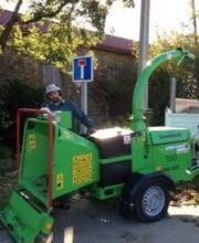 Montalon Damien image 4