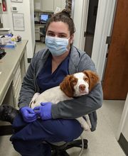 Bridge Veterinary Hospital image 6