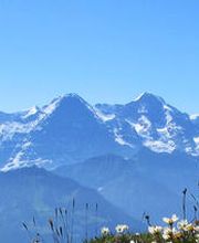 Beatenberg Tourismus Info -  Top view in pure nature