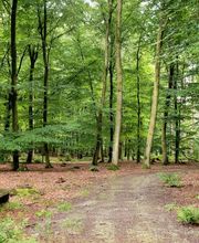 FriedWald Bremervörde Bild 11