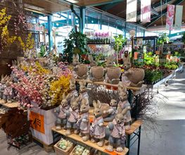 HORNBACH Erlangen Bild 7