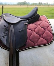 Escuela Hípica los Nogales imagen 2