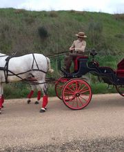 Picadero Escuela Las Cruces imagen 10