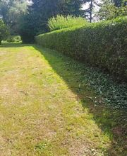 Alex Haus und Hofservice Bild 19