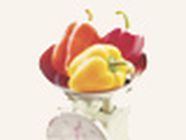 Préau Guilloteau Virginie