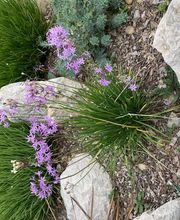 Fischer Philippe Bild 5