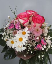 Gärtnerei Mohring Bild 6