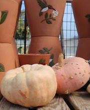 Breshear's Nursery & Greenhouse image 4