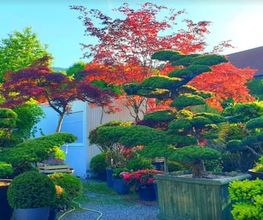 Gardenking GmbH Bild 7