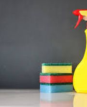 Carmen Rodriguez Reinigungsservice KLG Bild 8