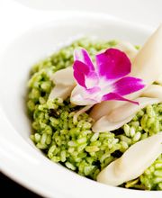 Schwabinger Wassermann Bild 6