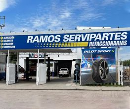 Michelin Ramos Servipartes Sucursal Rioverde #3 imagen 1