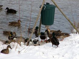 Schmid Futterautomaten