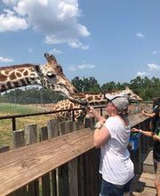 Aesthetic Dentistry, P.C. image 17