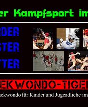 Taekwondo Tigers Berlin Bild 3