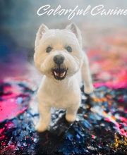 Colorful Canines image 8