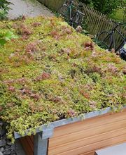 LUTZ Gartendesign GmbH Bild 3