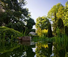 Salathé Rentzel Gartenkultur AG Bild 6