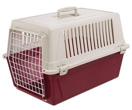Götis Hundeshop Bild 5