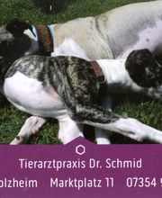 Tierarztpraxis Dr. Schmid Bild 1