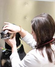 TotalBond Veterinary Hospital at Forestbrook image 12