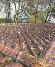 Marion Laurent image 9