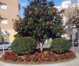 Jardinería Bordera imagen 7
