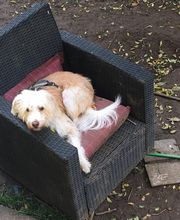 Martin Hofmann Bild 3