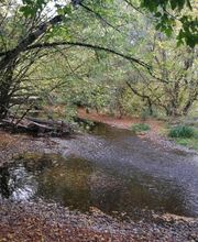 Ferme des Bruyères en Périgord image 12