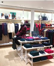 Lacoste Bordeaux Dijeaux image 4