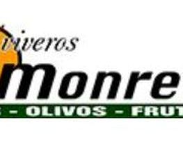 logo_viverosmonreal.JPG