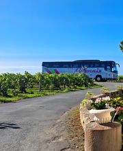 Livenais Voyages image 3