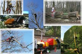 JR Elagage