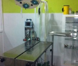 centro-veterinario-veravet-sala-procedimientos-03.jpg