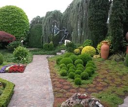 Thomas Kuster Gartenbau & Gartenpflege Bild 8