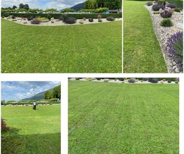 HRG Hauswartung - Reinigung - Gartenunterhalt Bild 1