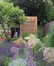 Savariau Patrick image 1