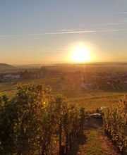 Scherrer Thierry-Bernard image 1